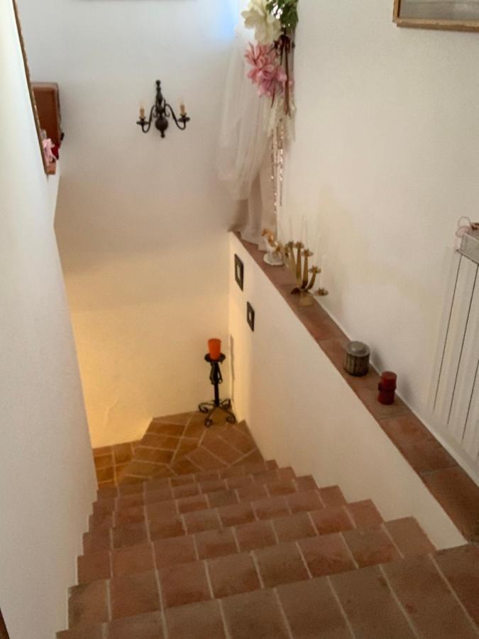 La Casa Dei Ricordi Lägenhet Collesalvetti Exteriör bild