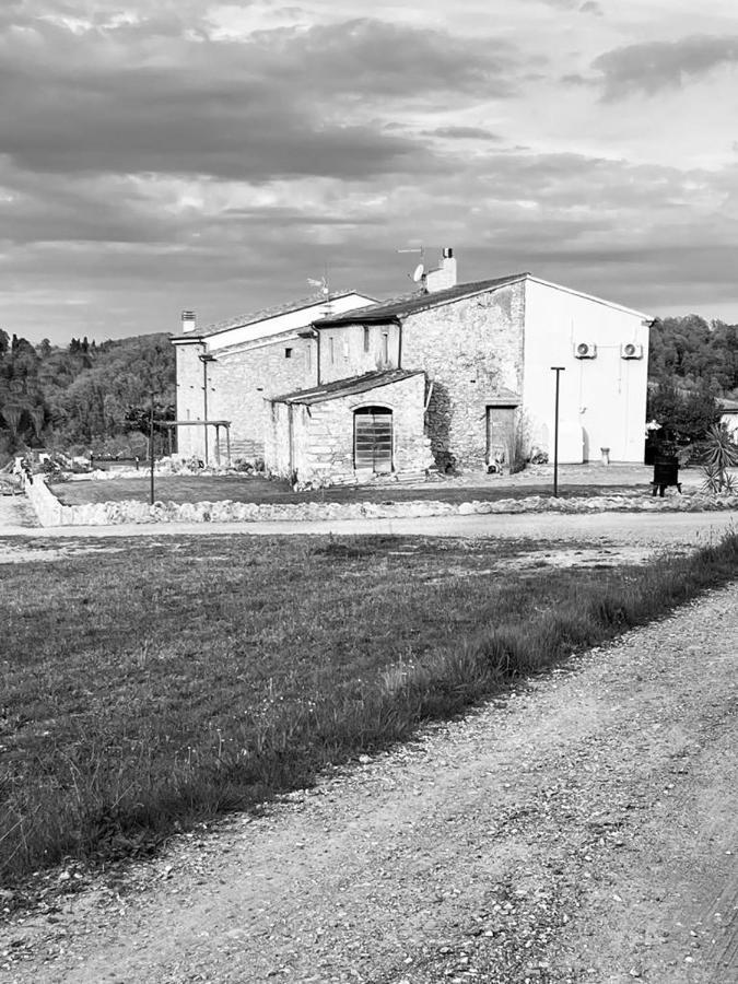La Casa Dei Ricordi Lägenhet Collesalvetti Exteriör bild