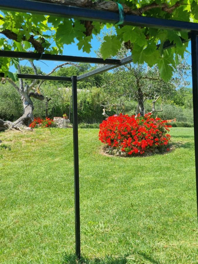 La Casa Dei Ricordi Lägenhet Collesalvetti Exteriör bild